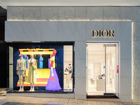 dior voukourestiou